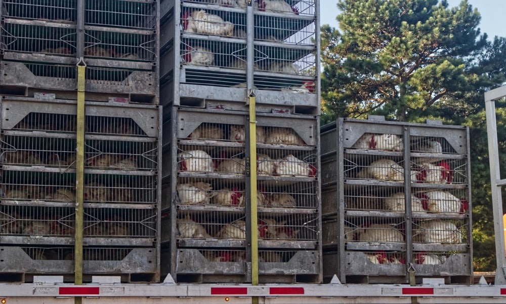 Agriculteur et formation obligatoire